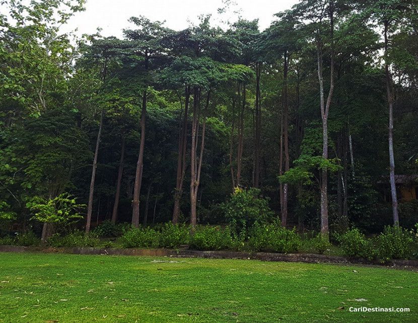 sekayu waterfall resort kuala berang