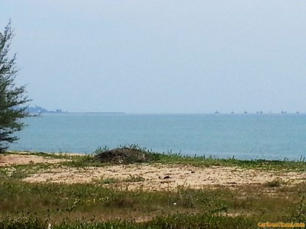 monica bay kemaman cuti