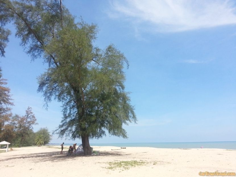 penginapan pantai bisikan bayu