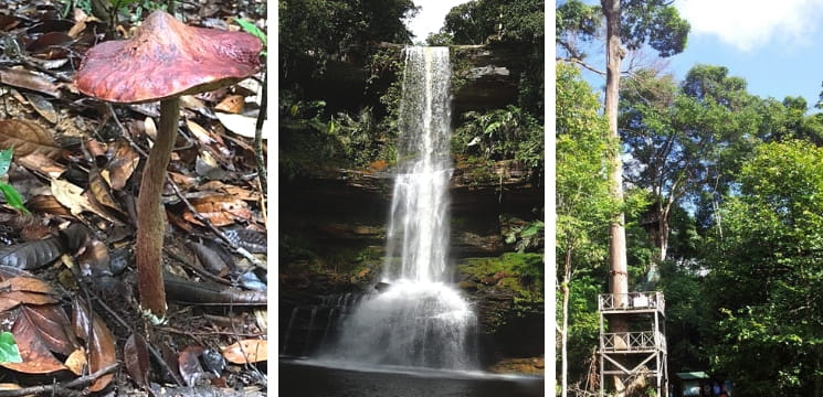 maliau basin sandakan sabah