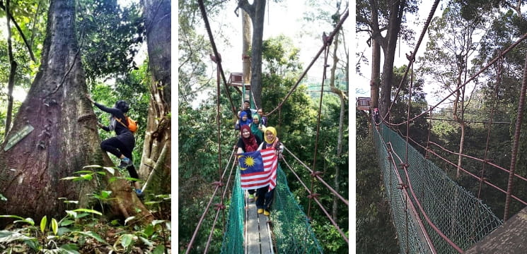 hutan simpan bukit gemuk sabah