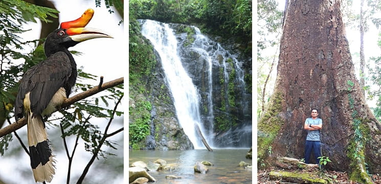 taman bukit tawau sabah