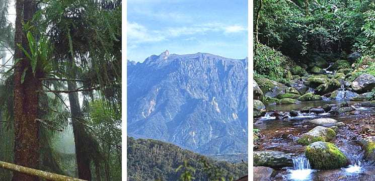  taman kinabalu sabah menarik