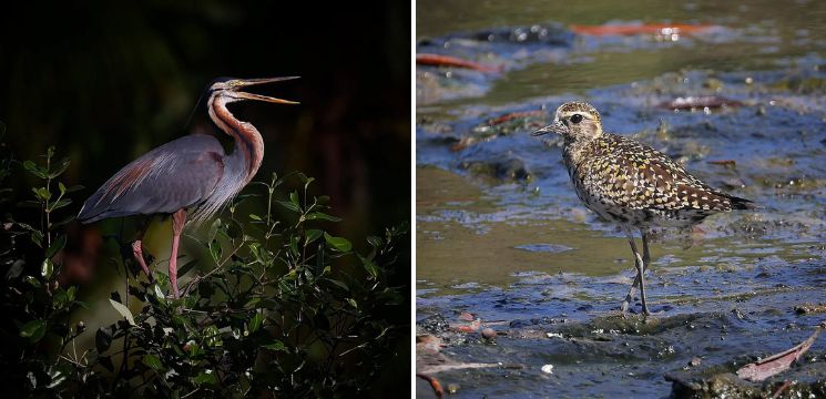 tempat menarik di kota kinabalu