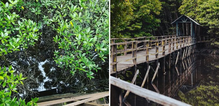 tempat menarik di kota kinabalu