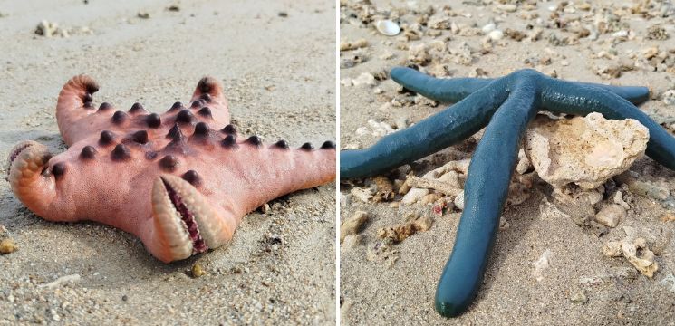 tempat menarik di kota kinabalu