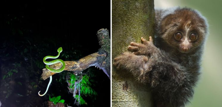 Air Terjun Ulu Kionsom