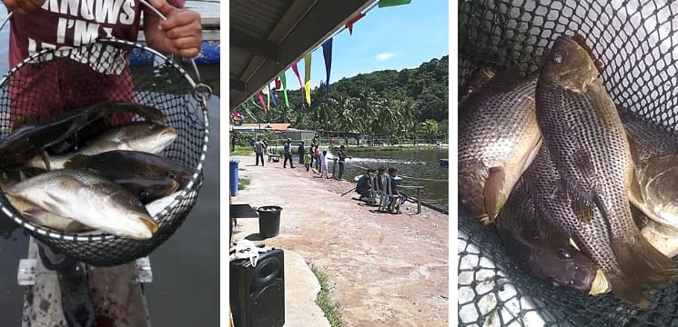 kolam memancing menarik di kemaman