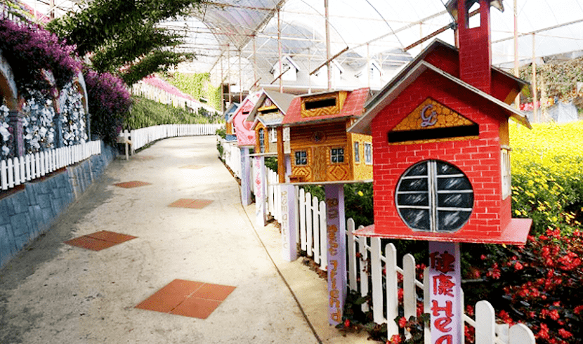 taman lavender menarik cameron highland