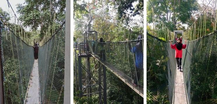 canopy walk perlis