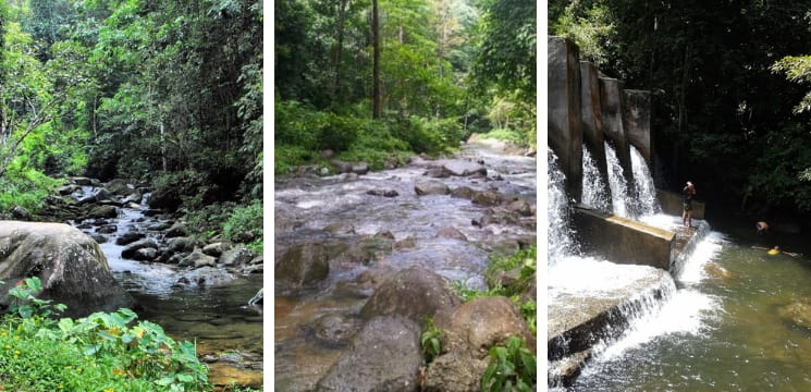 hutan air terjun tupah