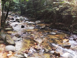 air terjun sungai tua ulu yam