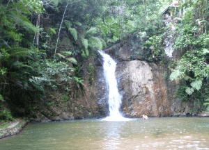 bercuti ke bukit fraser