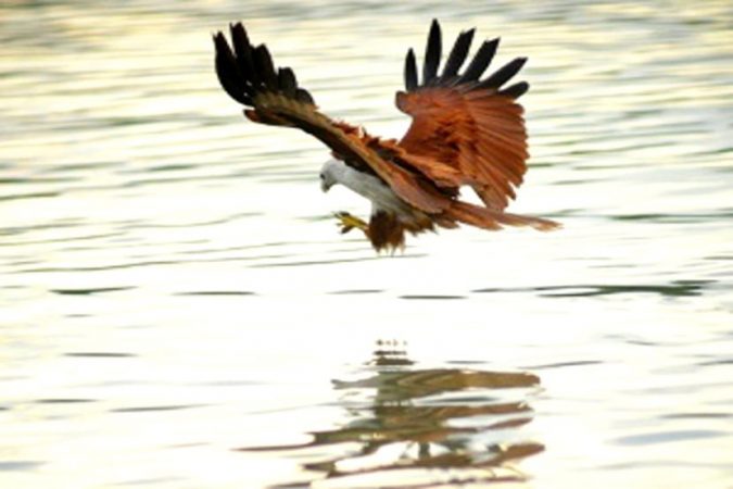 senarai kawasan pelancongan kuala selangor