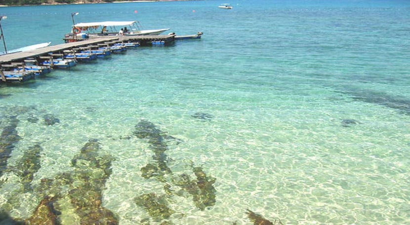 pulau tenggol dungun terengganu