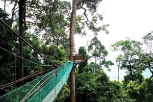 bukit gemuk tawau sabah