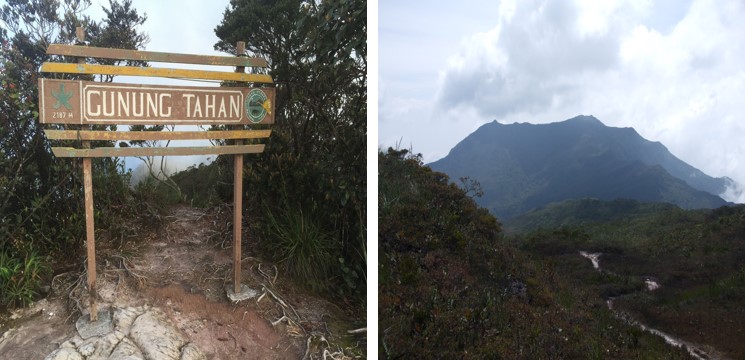 gunung tahan