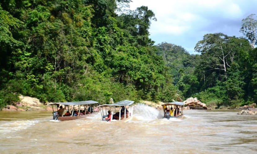 pakej aktiviti taman negara