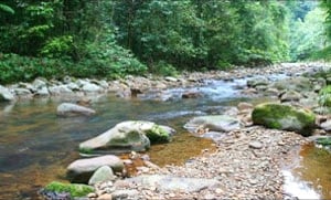 pelancongan di sabah