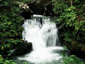 taman bukit tawau sabah