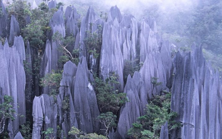 taman negara mulu menarik
