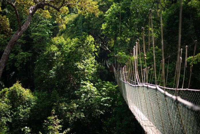 taman negara pahang