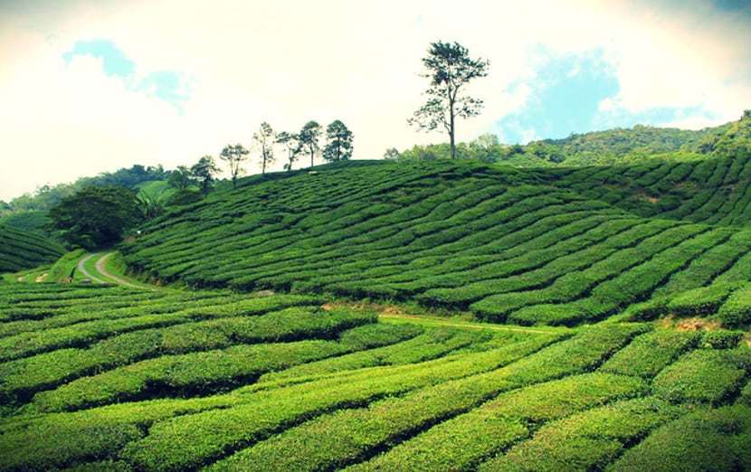 tempat-menarik-berbulan-madu-M