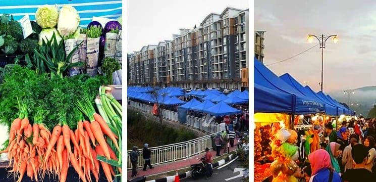 pasar malam cameron highlands