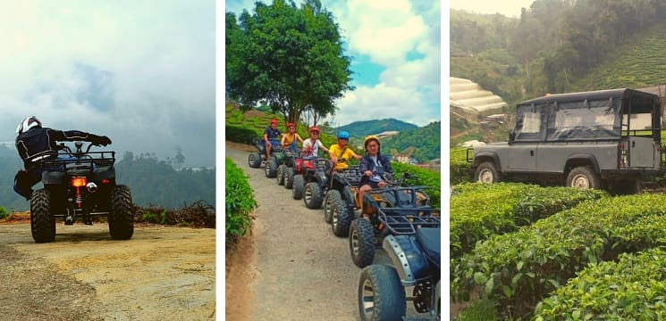 27 tempat menarik di cameron highland