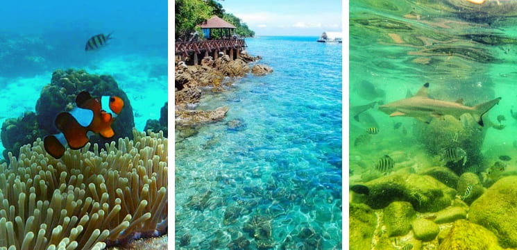 tempat snorkeling menarik pulau langkawi