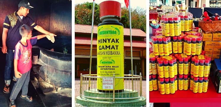 kedai minyak gamat langkawi