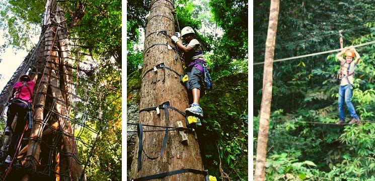 langkawi canopy adventure