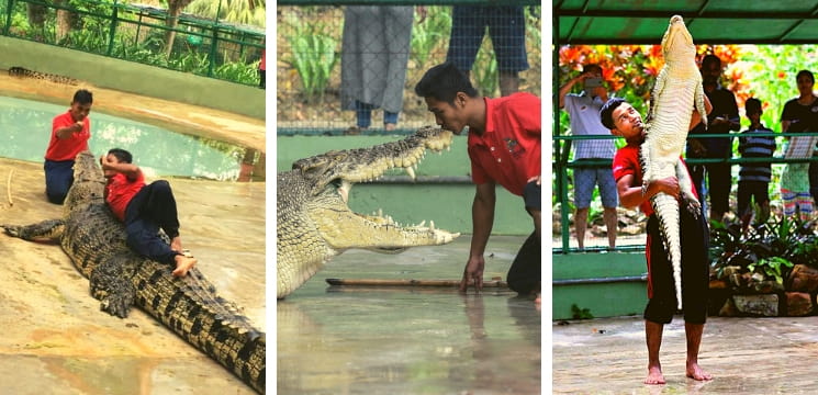 taman buaya langkawi