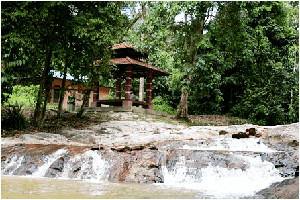 Hutan Lipur Bukit Lagong