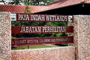 Paya Indah Wetlands