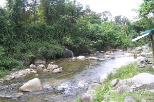 pangsun hulu langat selangor