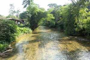 sungai bernam teratak riverview