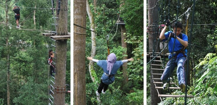 skytrex melaka outdoor