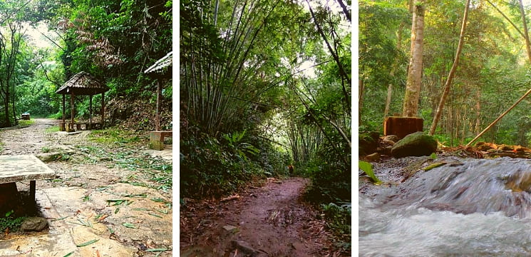 hutan lipur gunung nuang selangor