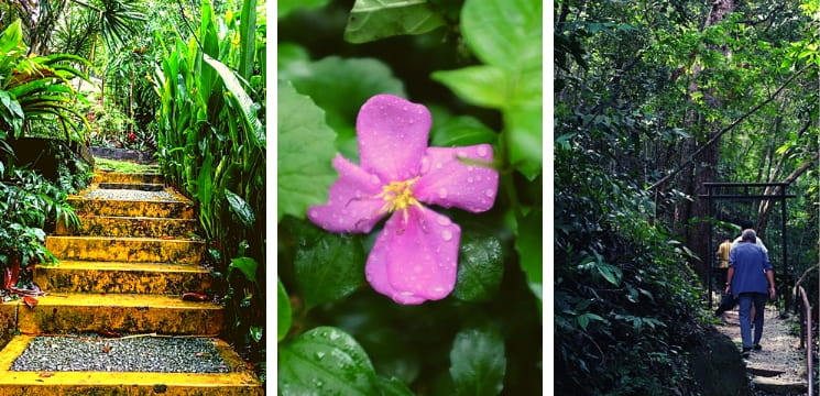 taman herba penang menarik