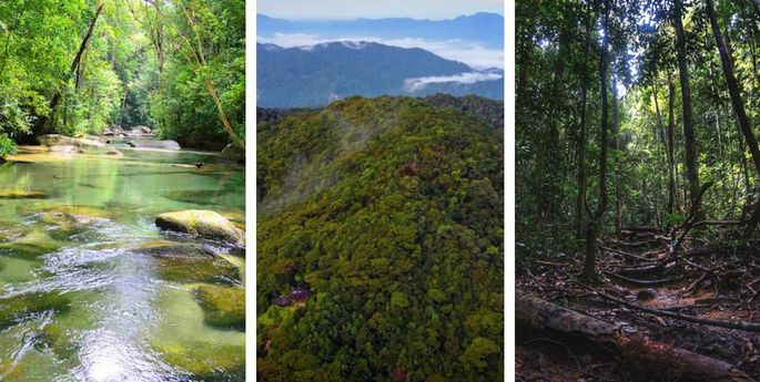  gunung tebu besut terengganu