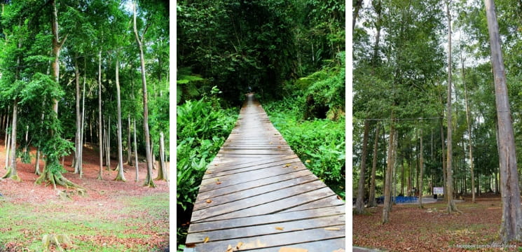 tempat menarik nibong tebal penang