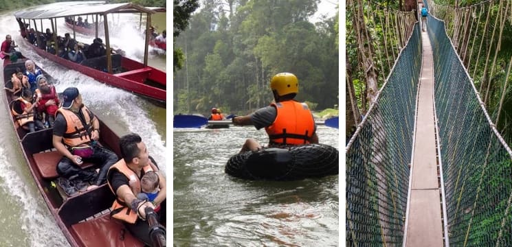  taman negara pahang aktiviti menarik