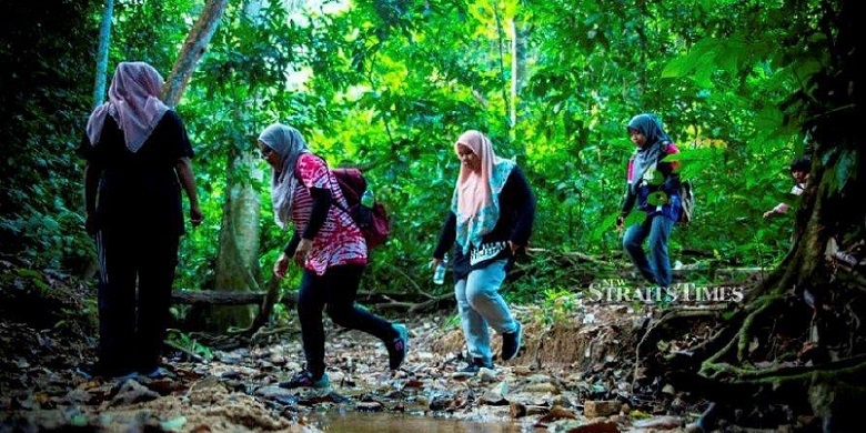 redang jungle trekking