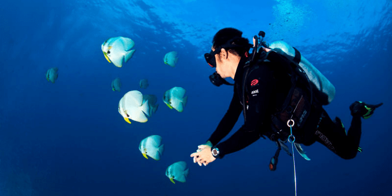 Pulau Lang Tengah - Scuba Diving (Menyelam)