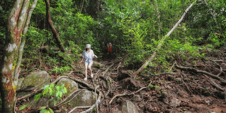 Pulau Lang Tengah - Jelajah hutan (Jungle trekking)