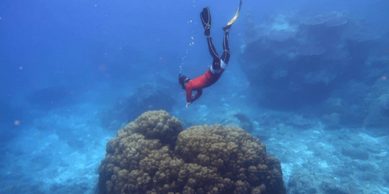 Pulau Aur - Menyelam Scuba (Scuba Diving)