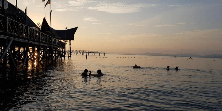 Pulau Mabul - Menyelam Permukaan (Snorkeling)