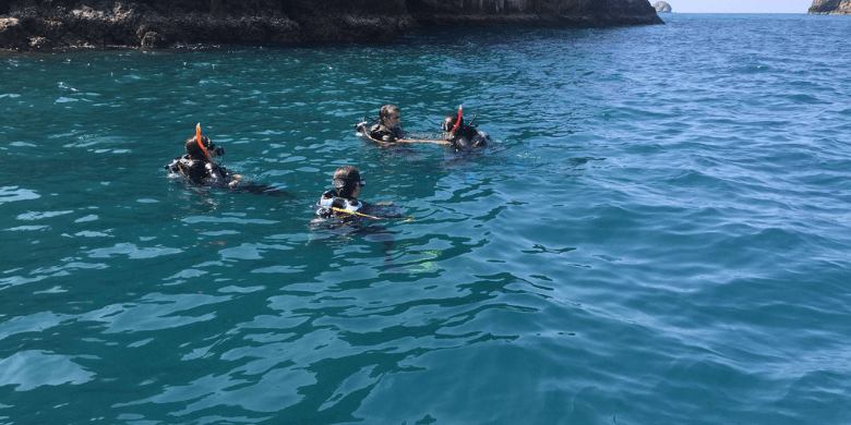 Pulau Sibu - Menyelam permukaan (Snorkeling)
