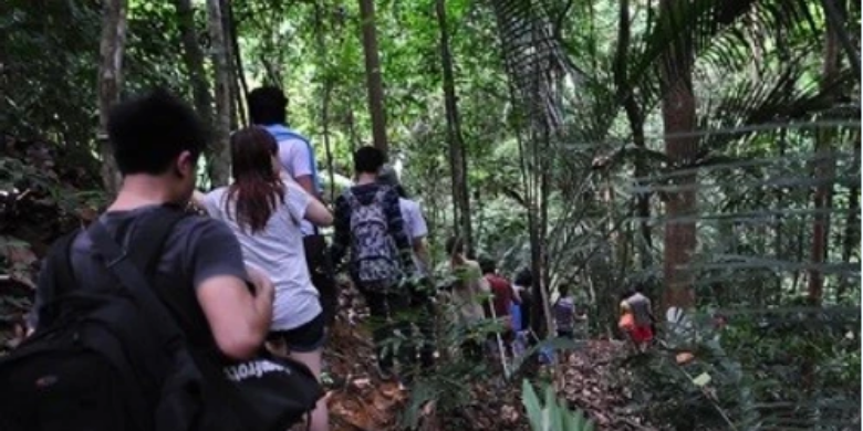 Pulau Tinggi - Jelajah hutan (Jungle Trekking)